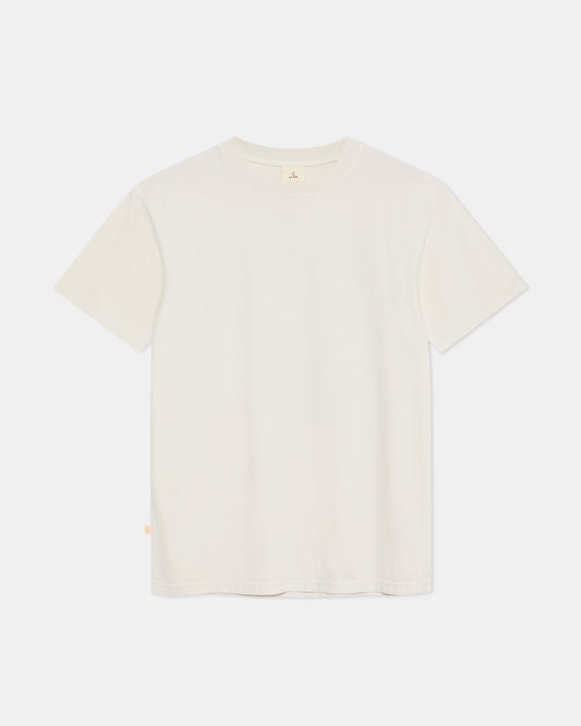 BOTELHO SWALLOW POSTCARD