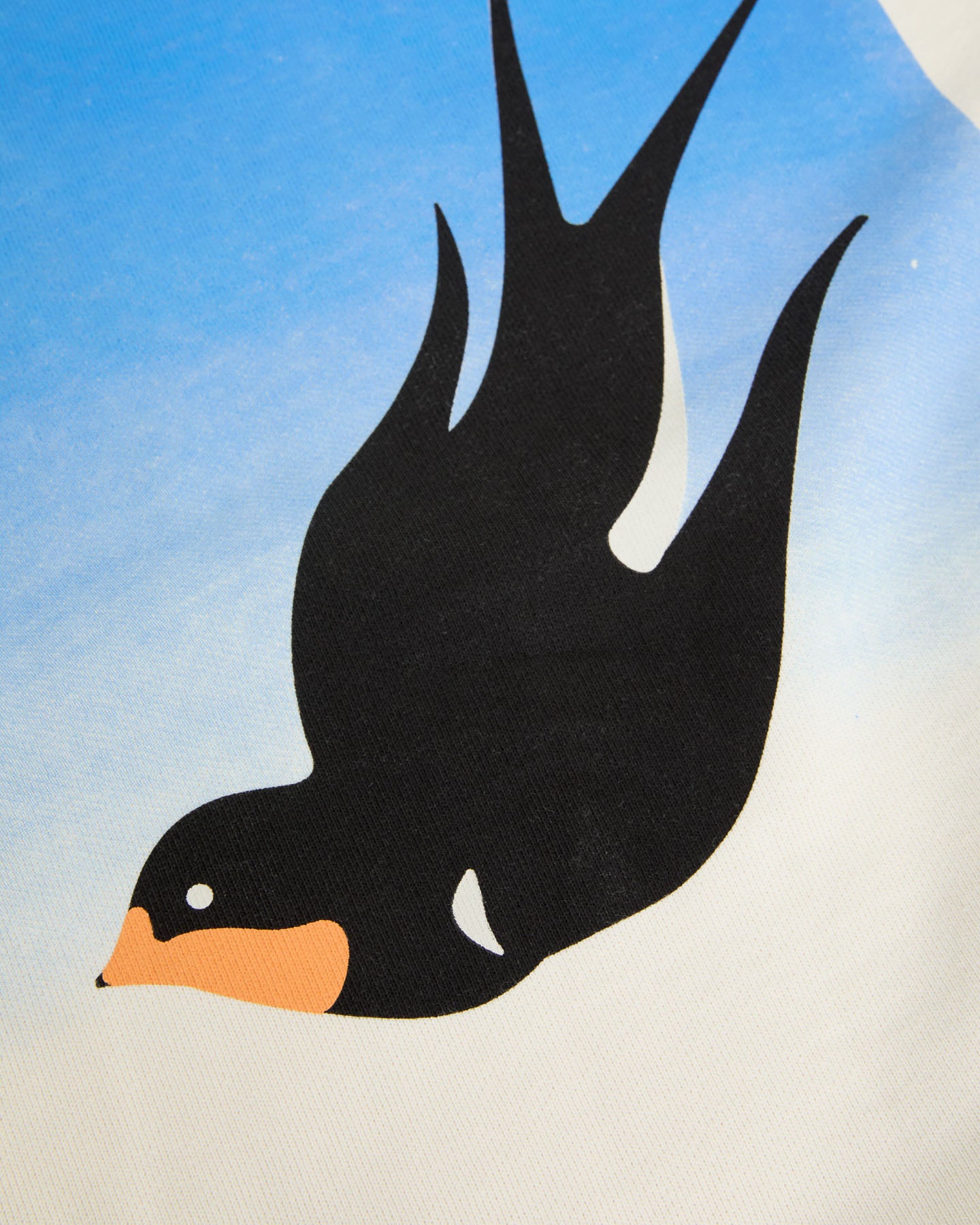 XAVIER SWALLOW POSTCARD