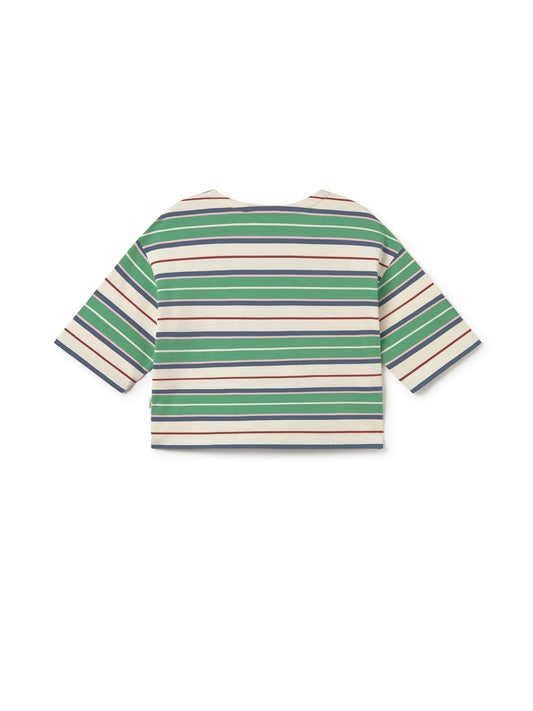 Fingal - Green rugby stripes