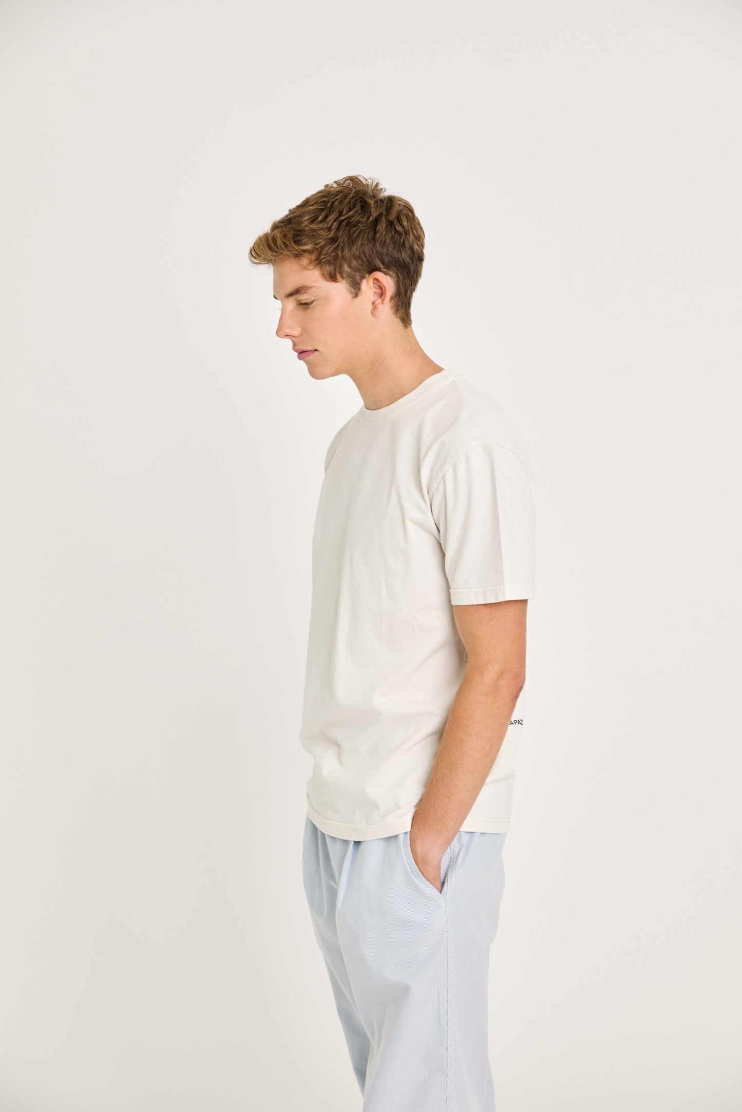 BOTELHO SWALLOW POSTCARD